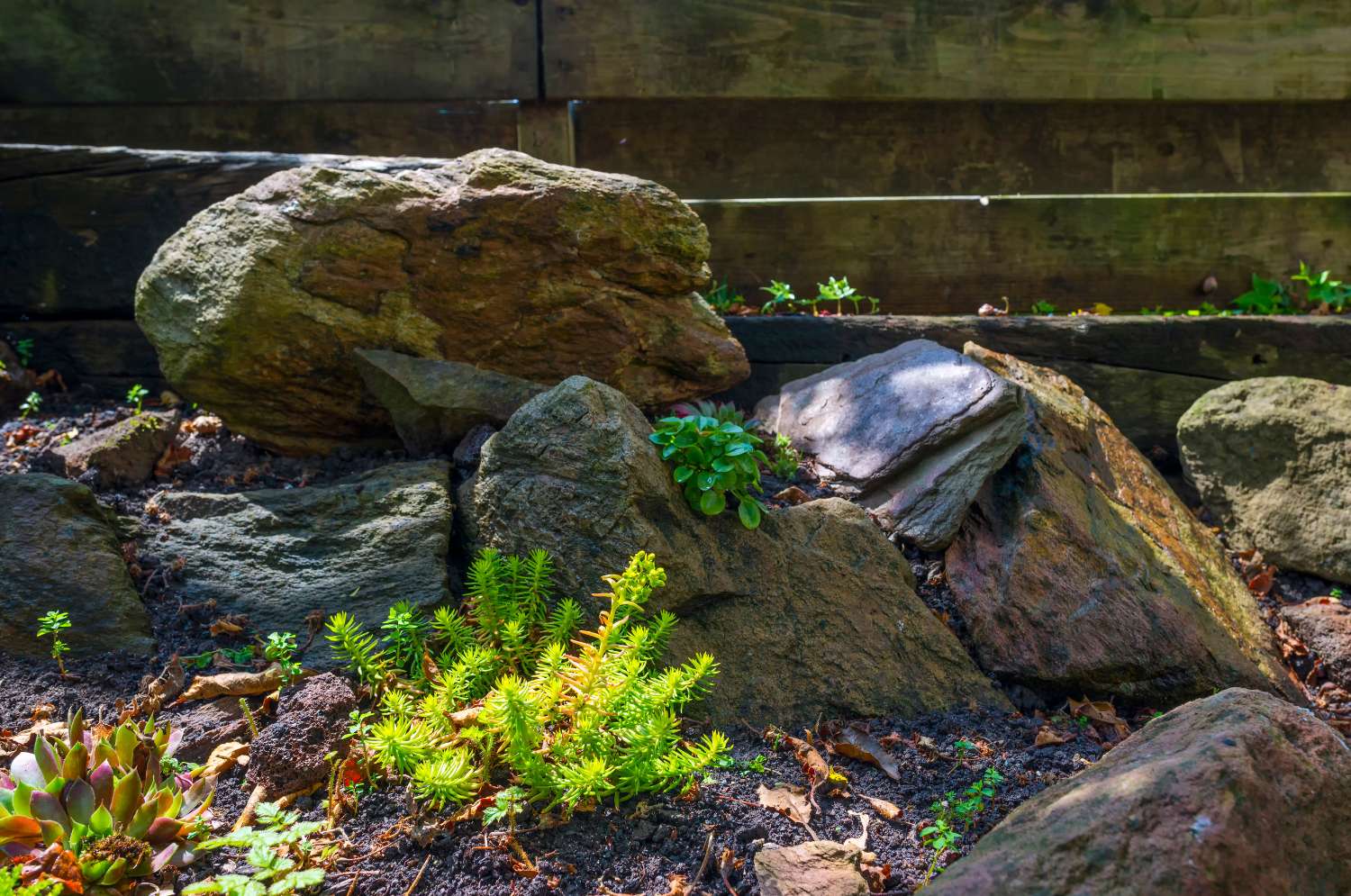 Giardino rockery Meta Verde